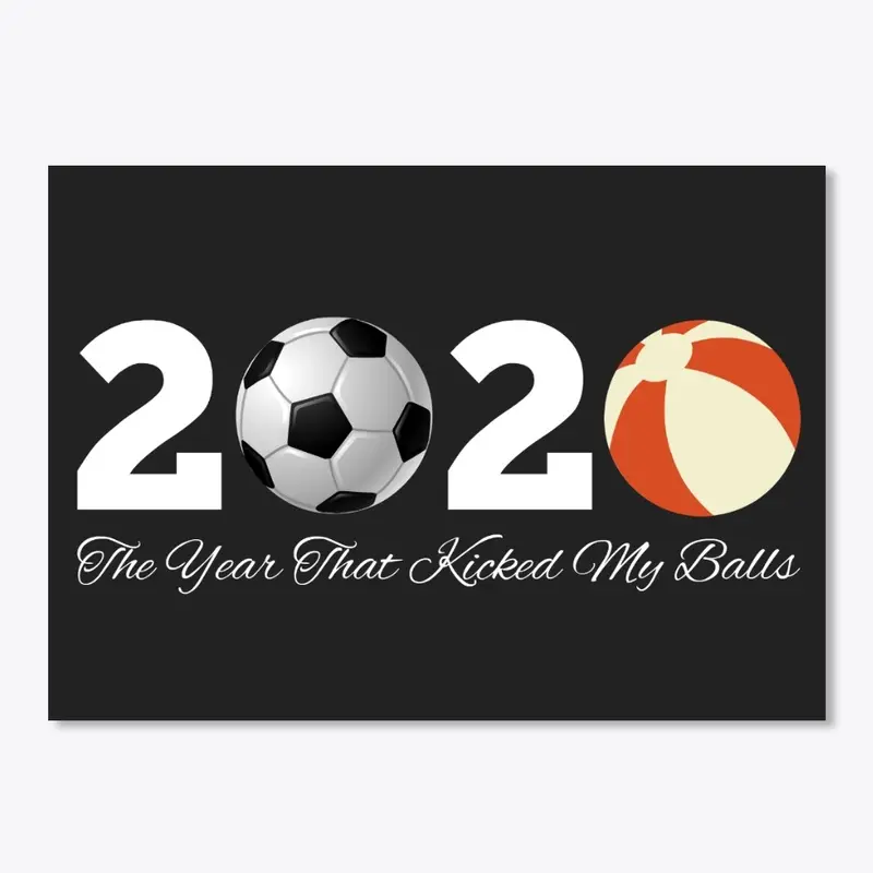 2020 Kicked My Balls Humor